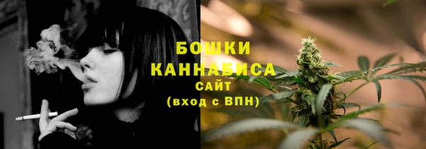 прущий лед Ельня