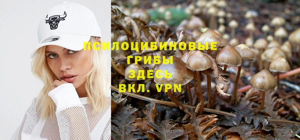 герыч Елизово