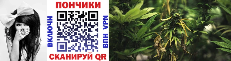 наркота  Петров Вал  Шишки марихуана THC 21% 